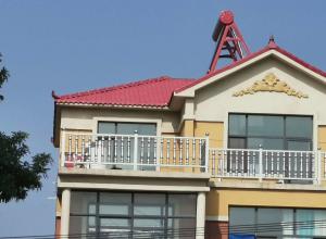 ������ѡ������ѧ��