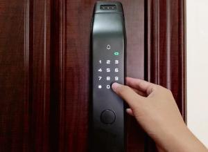 �Ϻ��������� ���� ���չ� ������ ��������