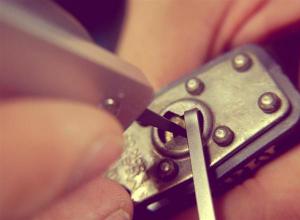 �������ſ���������������