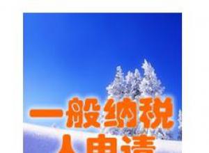 ����������һ����˰�˹�˾ע��