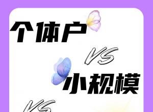 ���廧 vs С��ģ vs һ����˰����˰����