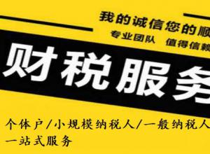 �������˹�˾�������� ������ҵ������˰�걨