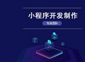 �Ϻ����̻�С���򿪷��Ŷ���������������