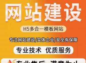 �ɶ���վ���趨�ƿ������� ������� ����ģ�����ɴ���