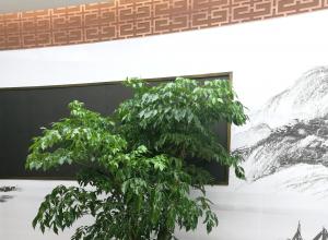 ����ƽ����������ֲ��ڹ�˾