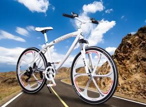 UL2849�綯���г����Ա���������