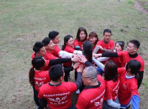 �ϲ�������չ����רҵ��Ŀ�з����顢רҵ��ѵʦ����