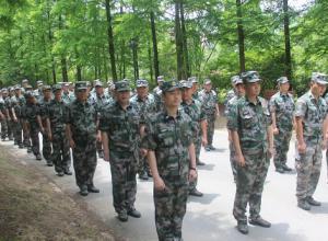 �ϲ���չ���Ž�����ѵ��������ѵ��ͽ��������