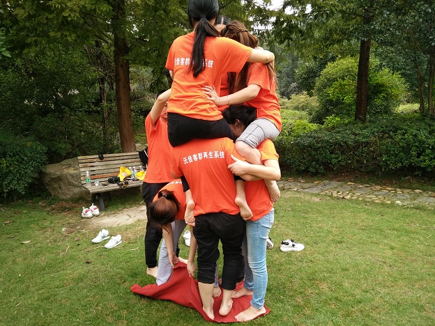 �ϲ��Ž����ϲ���ѵ���ϲ���չ���ϲ���ѵ