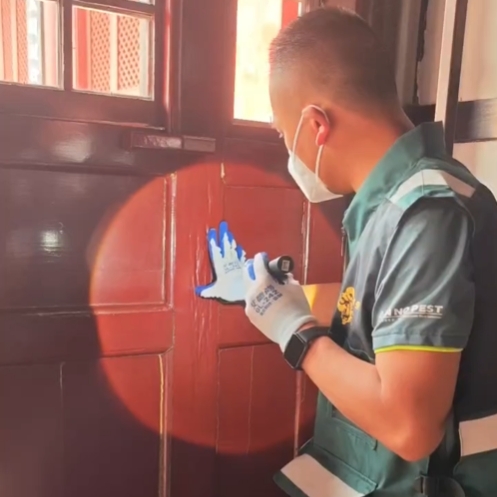 ��С��רҵ��Ч��ȫ�溦��ɱ����ƽ̨