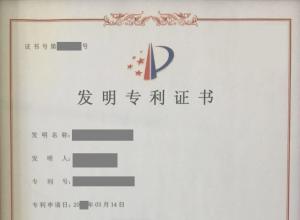 ����ר�������10������