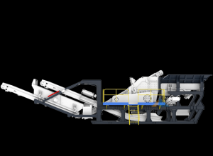 Բ׶��ģ�黯����վ