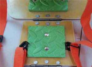 �Ӻ񻤰���÷��Ұ�ȫ���� ��ɢ���������������ι�