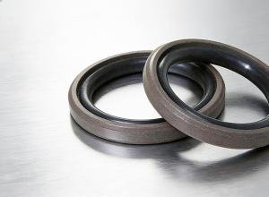 Һѹ�͸׽���������ܷ��DSD����