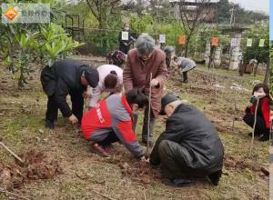 ����������������Ժ������Ԣ�����Ҹ�֮ѡ