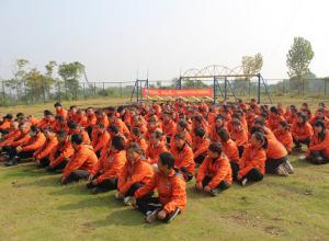 �ϲ�÷����չѵ�����ġ��ϲ�÷���Ž���߻�