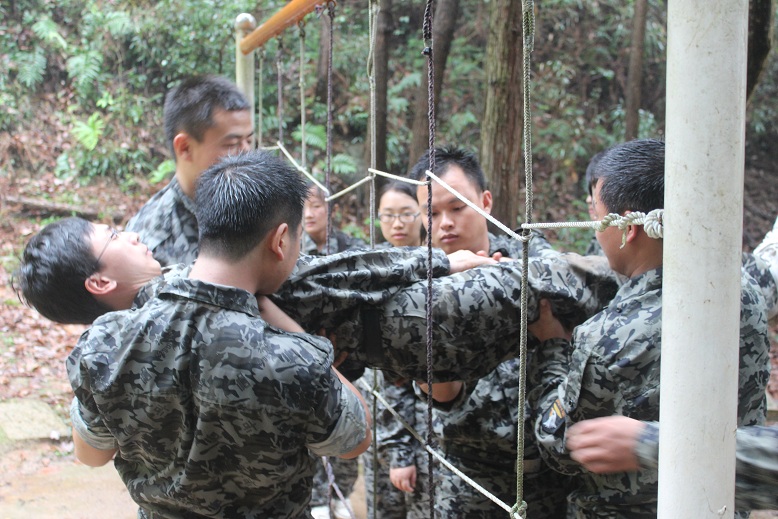 �ϲ�����÷����չѵ������ѵ������