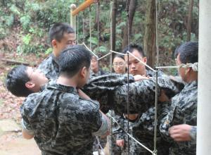 �ϲ�����÷����չѵ������ѵ������